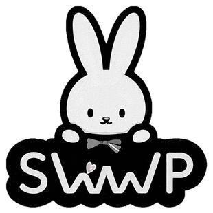 SolidWorks一键卸载安装工具 注册表残留清理已支持最新SW2026