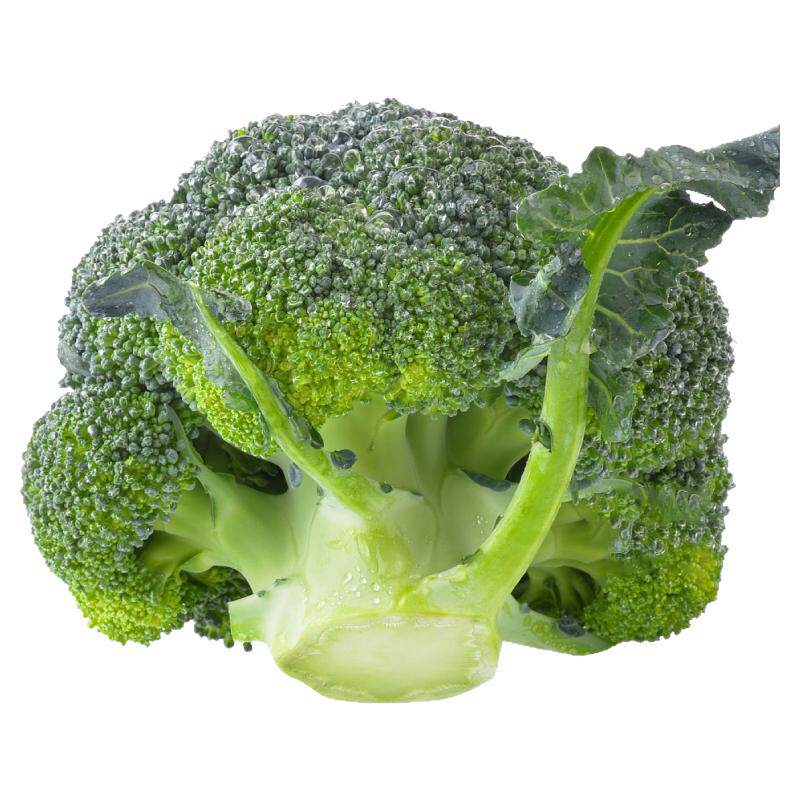 寿光高产西兰花苗秧花椰菜种子籽