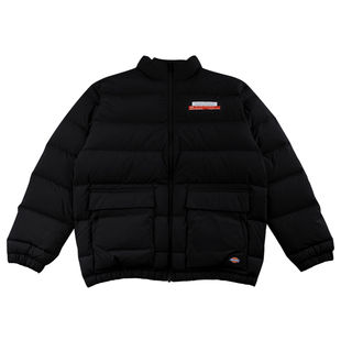Dickies立领羽绒服男式迪凯斯潮牌ins印花2024夏季防风保暖厚外套