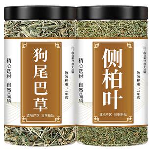 狗尾巴草侧柏叶中药材正品煮水新鲜狗尾草干草批发侧柏树叶子洗发