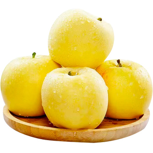 甘肃黄元帅苹果新鲜现摘应当季水果粉面苹果黄蕉面黄金帅苹果整箱