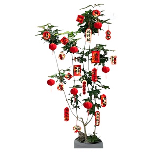 新年春节树上小灯笼挂件布置氛围装饰品发财果盆景绿植吊饰过马年