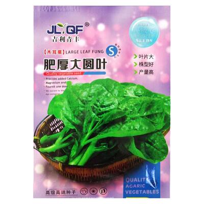 大叶木耳菜种子爬藤四季播