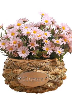 塑料绢花摆件摄影道具小雏菊