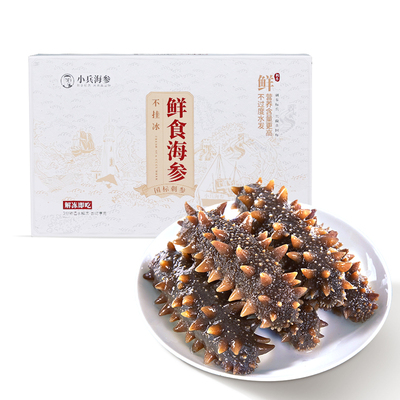 小兵海参辽刺参鲜食海参营养高