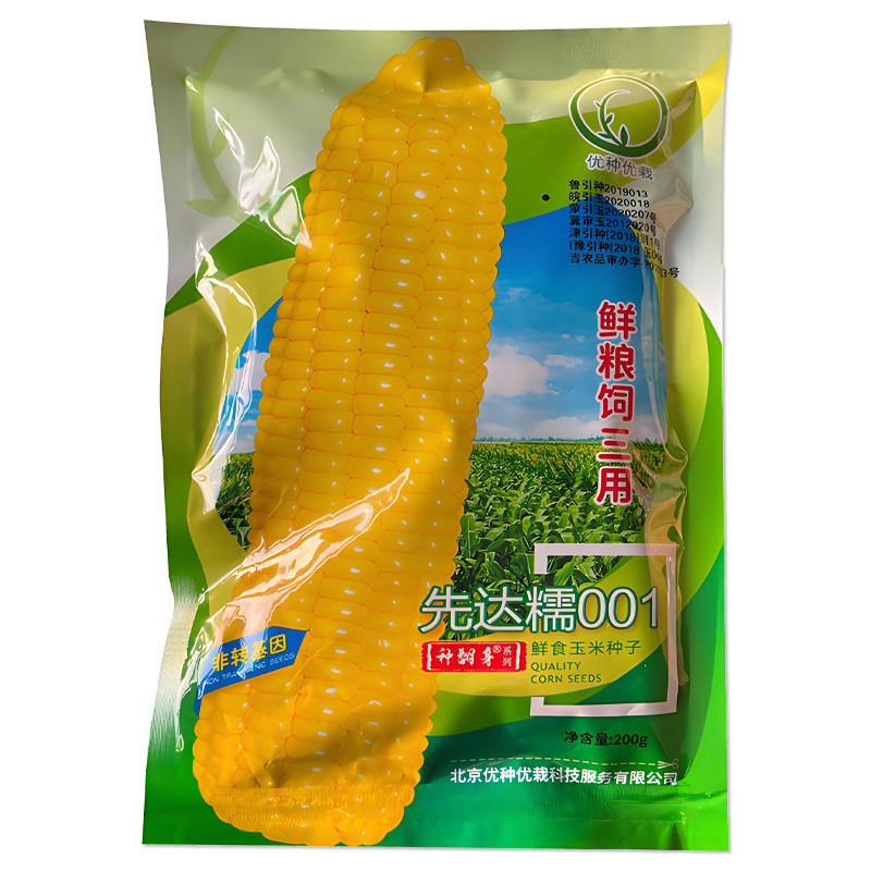 先达糯001鲜食玉米种子