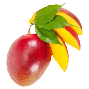 四川攀枝花凯特芒果苗正宗嫁接芒果树苗巨无霸大芒果树苗盆栽带土