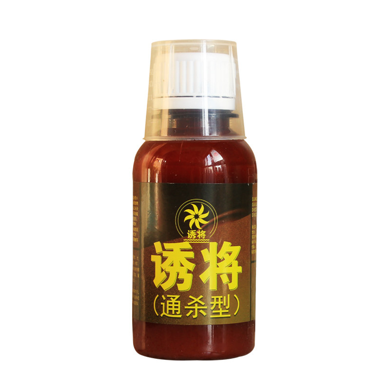 诱将通杀黑坑小药钓鱼鲤鱼鲫鱼