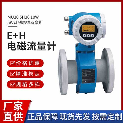 议价EH电磁流量计50系列 5H36 10W 5W系列恩德斯豪斯电磁流量计