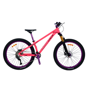 雷克斯LAUX悟空500土坡车铝合金车架10速碳客培林120响炸街花鼓