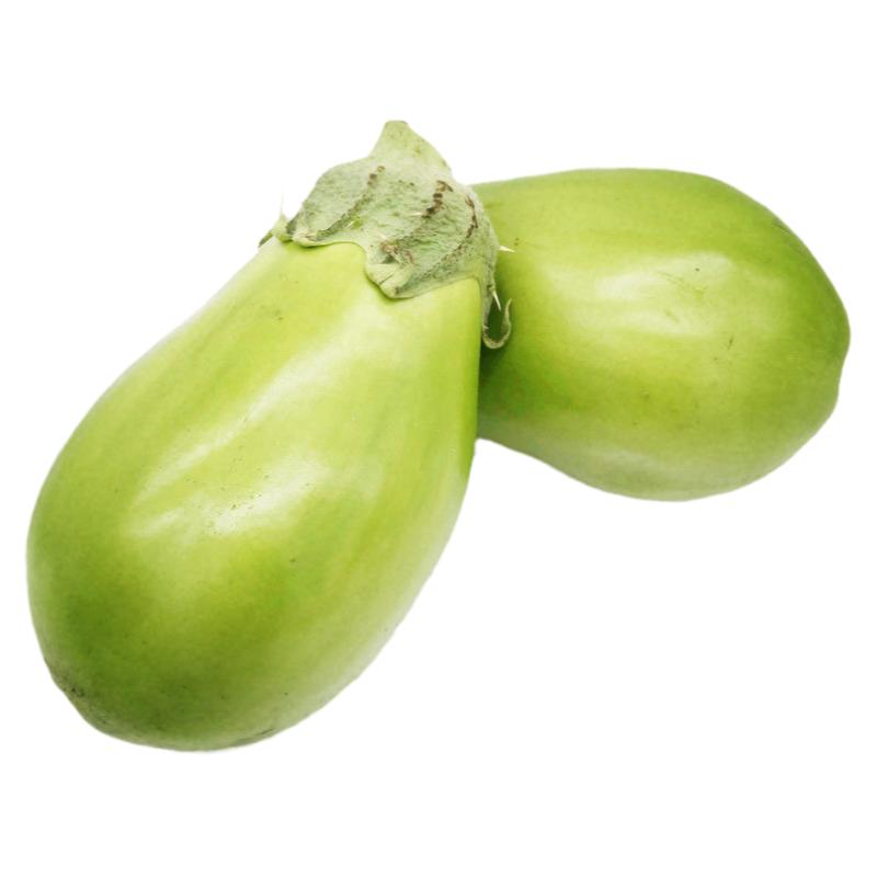 绿茄子苗子绿茄子秧苗四季蔬菜苗