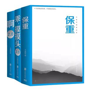 【官方正版】保重大冰 啊2.0+乖摸摸头2.0共3本套作品集 小说短篇故事集江湖说书人 啊2.0新增10万字温暖故事 文学情感 小说故事