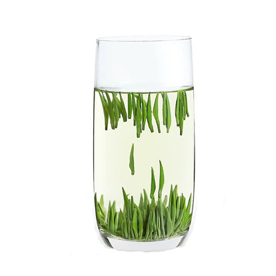 2025年新茶湖北保康松针明前春茶