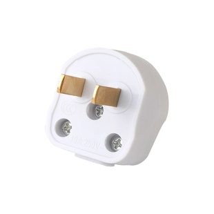 卧式大功率插头二脚10A固定小型不带线小巧纯铜加厚家用电源插头