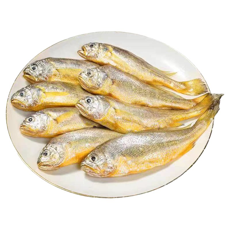 黄花鱼新鲜海捕冷冻海鱼商用批发