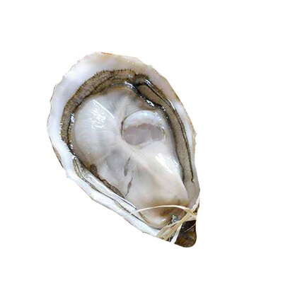 法国吉拉多生蚝空运鲜活N0/N1/N2