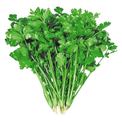 四季菜种蔬菜种子大全菜籽种园艺