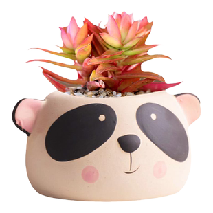 卡通多肉花盆手绘创意个性桌面装饰透气动物粗陶吸财树肉肉老桩盆