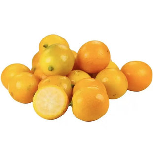 正宗广西融安脆蜜金柑第三代金桔纯甜多汁自家果园直发独立包装