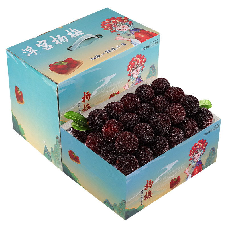 顺丰次日达丨仙居东魁大杨梅现摘