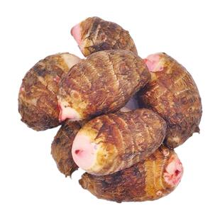 浙江金华新鲜红芽芋艿现挖毛芋小芋头芋子农家蔬菜5/3斤香芋软糯