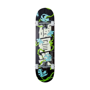 硬骨头硬骨专业滑板初学者成人儿童青少年男女同款技巧动作代步