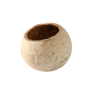 木橘果壳半碗壳进口天然植物内饰diy南美缸造景装饰拍照道具摆件