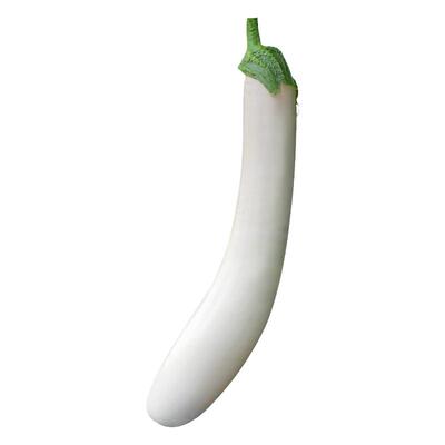 象牙白茄子种子高产长茄蔬菜苗幼