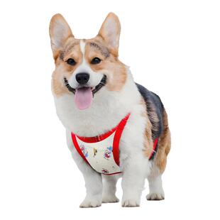 狗狗肚兜防着凉护肚衣宠物柯基肚兜舒适居家服猫咪纯棉衣服睡衣