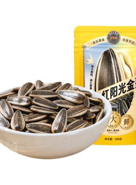 葵花籽大颗粒阳光金葵