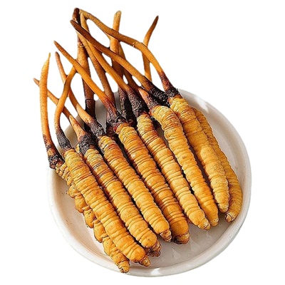 西藏那曲冬虫夏草野生虫草礼盒