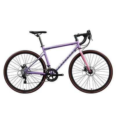 菲利普破风公路自行车手变油碟版