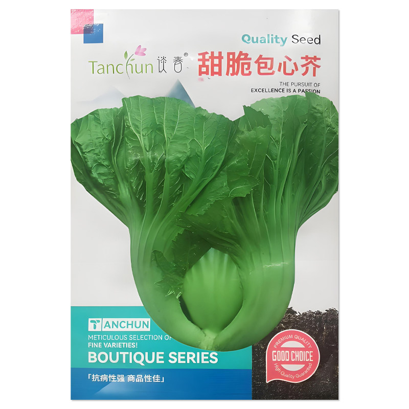 甜脆包心芥菜种子甜芥菜