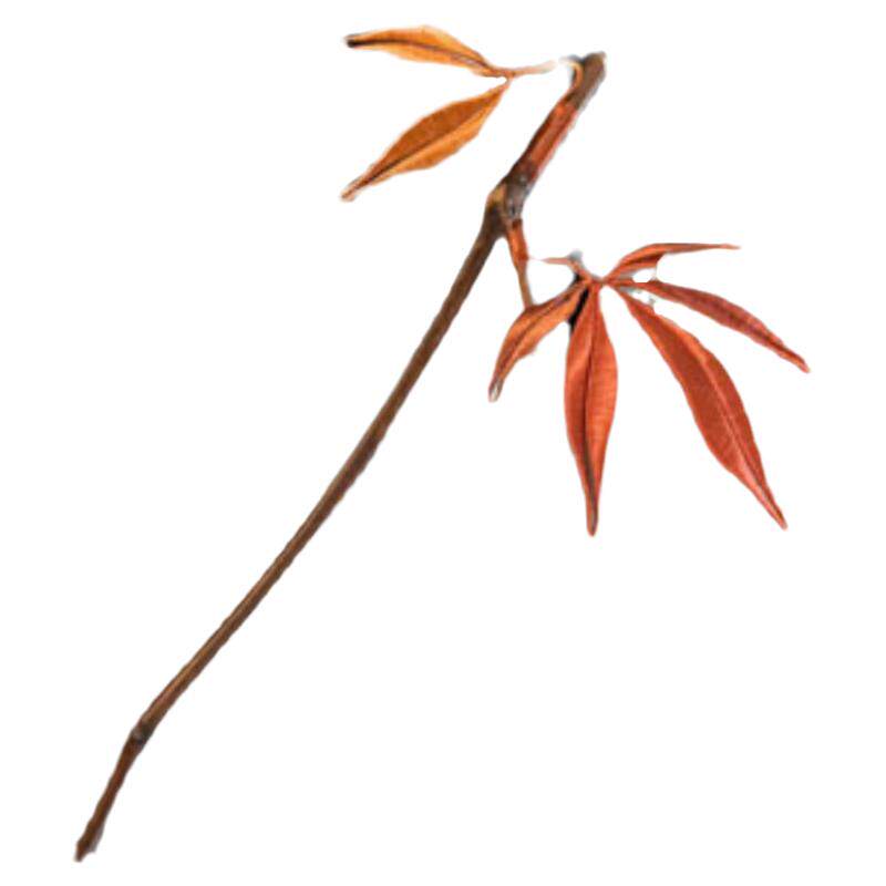 木质竹枝枫叶簪盘发汉服日常