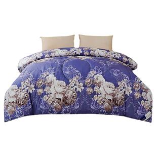 清仓空调被子双人春秋被丝棉被芯单人学生宿舍加厚保暖冬被子被褥