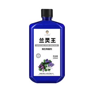 八个老头兰花专用营养液定根水蝴蝶兰专用液体肥生根壮苗营养液