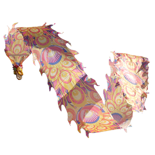 舞龙彩带健身广场舞健身龙中老年人手舞龙8米彩带中国甩龙带龙头