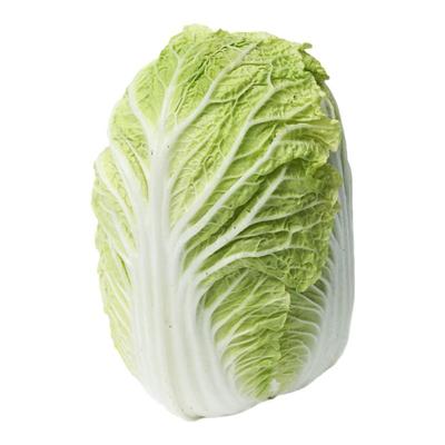 国审山东胶蔬秋季大白菜