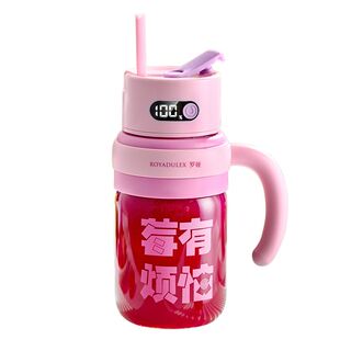 罗娅榨汁机便携式玻璃小型家用多功能果汁机电动榨汁杯2025新款