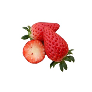 上海青浦章姬奶油草莓  新鲜采摘 时令水果 3.3斤礼盒装同城包邮