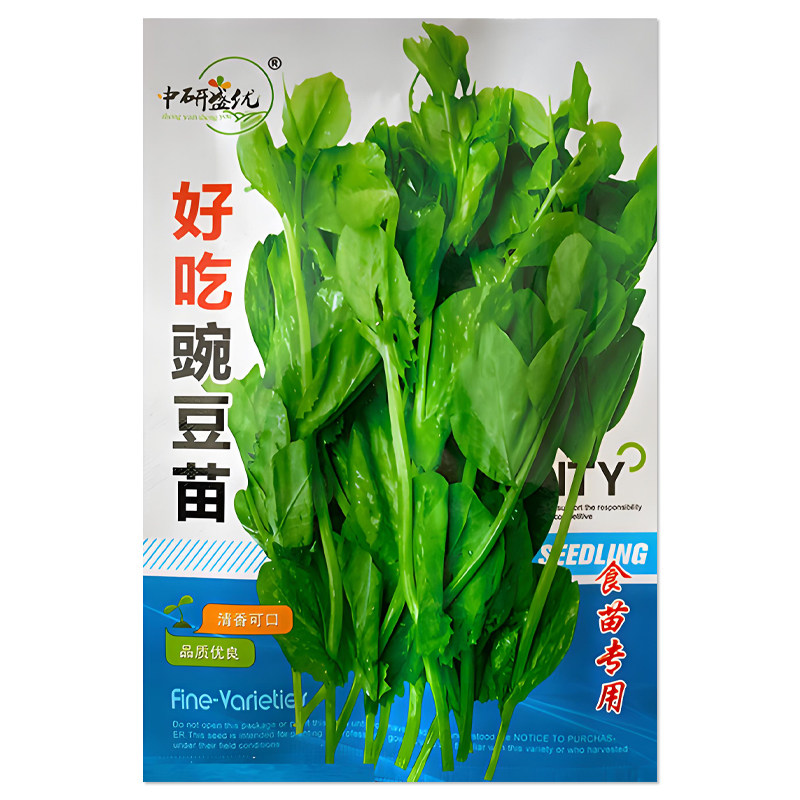 中研盛优好吃豌豆苗种子