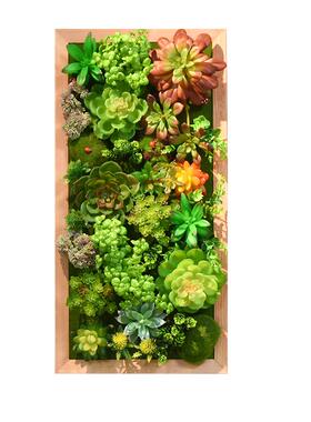 仿真多肉绿植装饰框挂墙背景墙