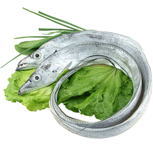 带鱼舟山雷达网顶带大带鱼新鲜东海冷冻刀鱼海鱼海鲜水产