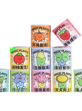 罐头植物冰箱贴好养绿植盆栽礼物
