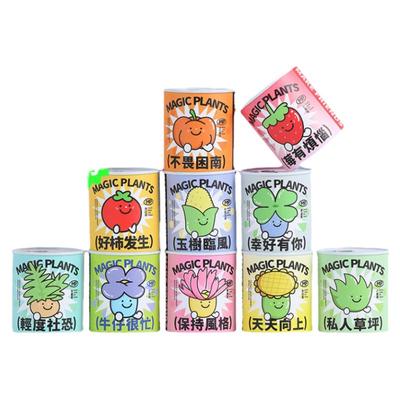 罐头植物冰箱贴好养绿植盆栽礼物