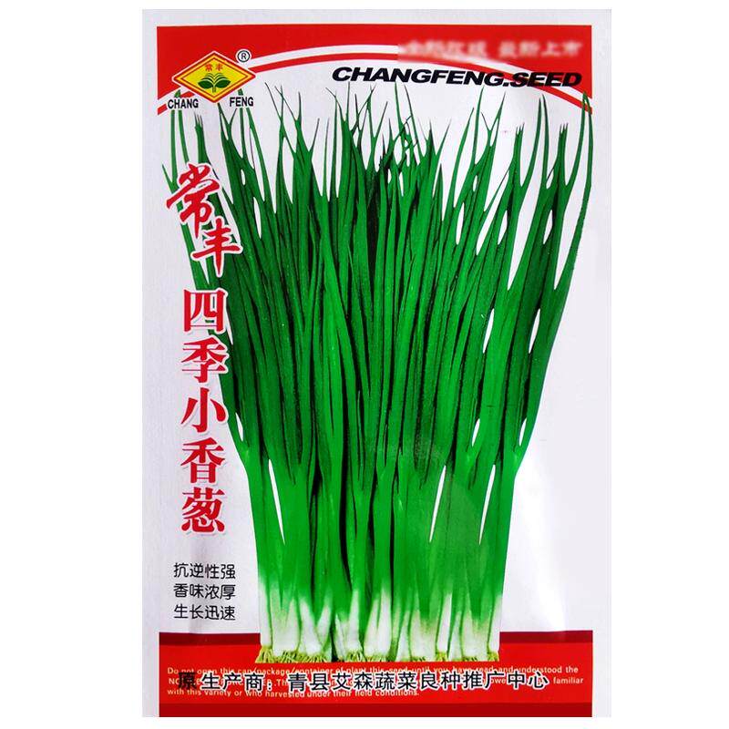 四季小香葱种子春季阳台盆栽庭院农家作物播种植分葱疏蔬菜种籽孑