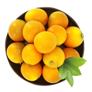 正宗广西融安脆蜜金桔柑第三代融安金桔大果无籽新鲜采摘独立包装