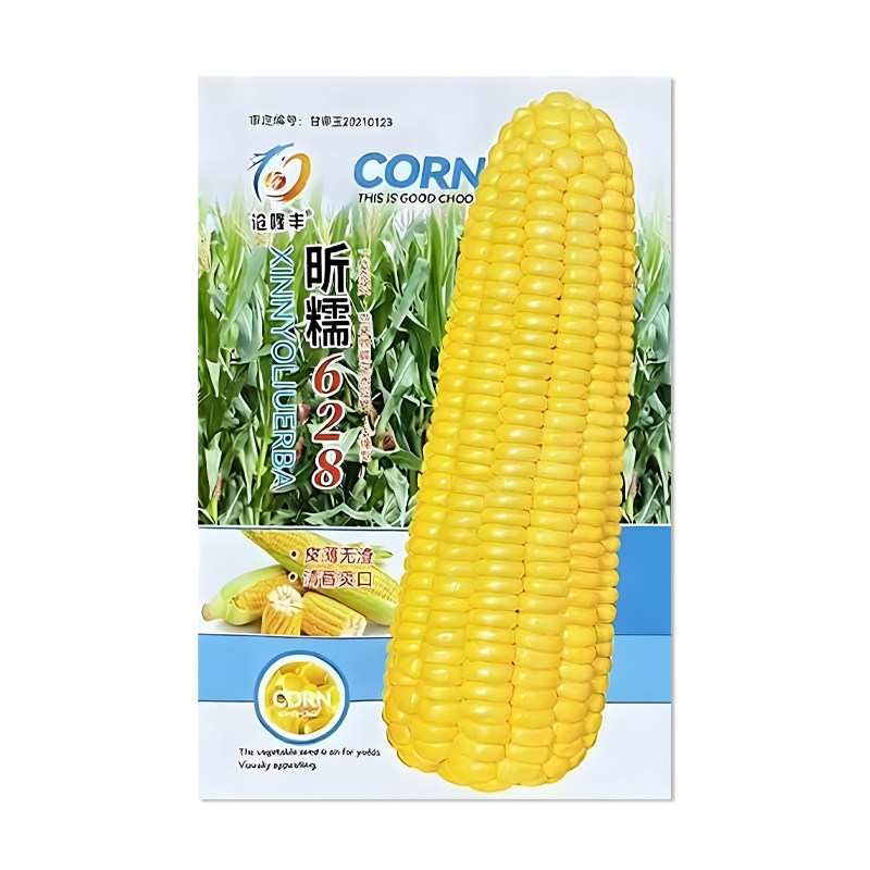 沧隆丰昕糯628玉米种子