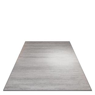 地垫入户门垫地毯进门家用客厅垫子高档轻奢简约玄关室内门口脚垫