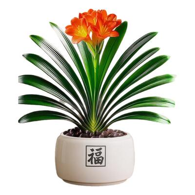 君子兰盆栽招财旺宅桌面盆景办公室绿植室内客厅中式禅意四季植物